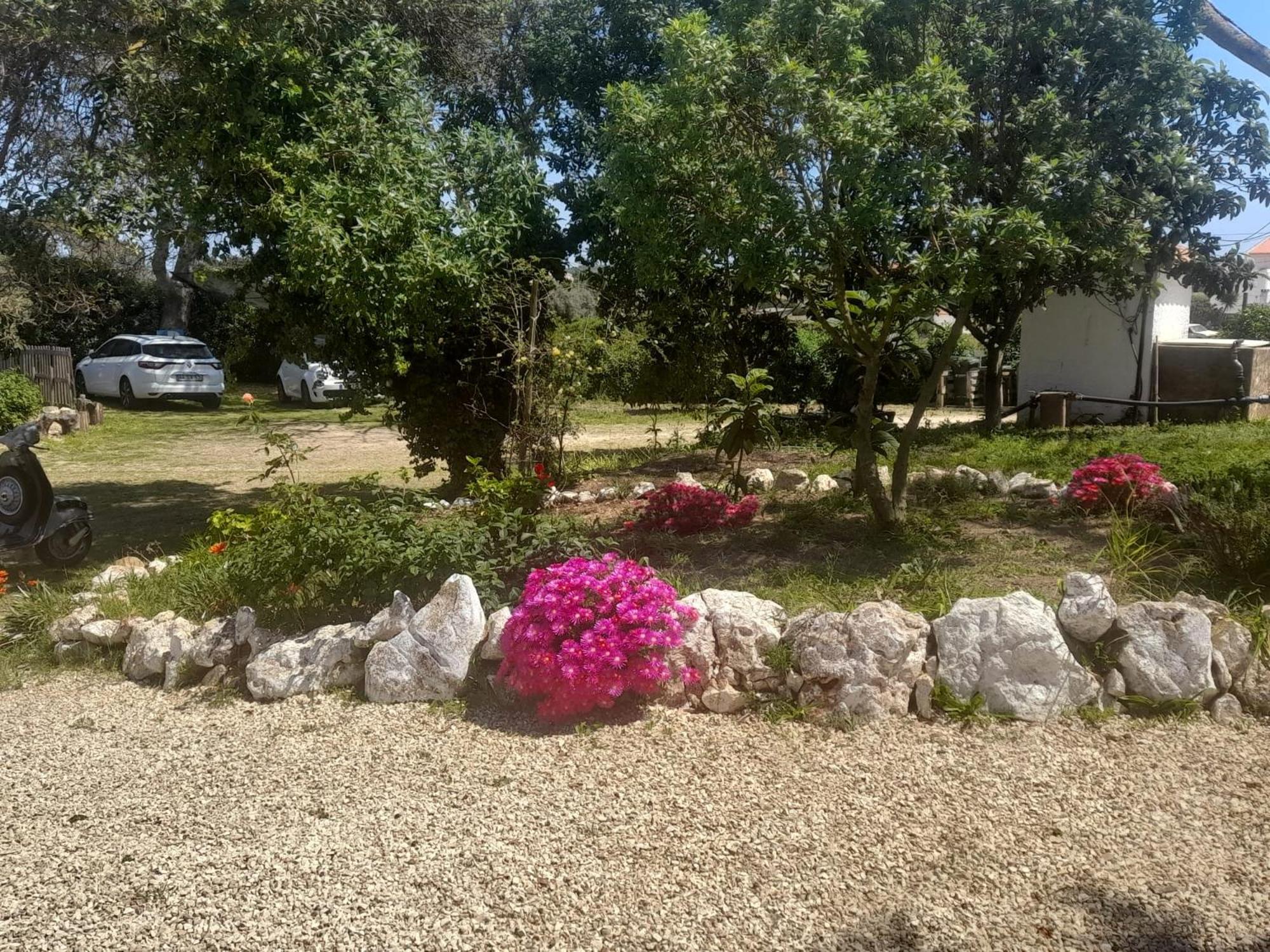 Nature Tatil Evi Lagos
